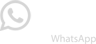 WhatsApp icon